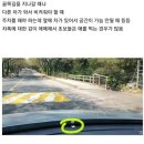 초보들 자동차 차폭 감 잡아주는 꿀팁 이미지