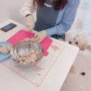 참견펫푸드 네이버블로그