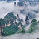 석순농장 이미지