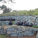 행복한작은고구마 이미지