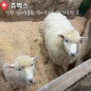 WR(인천광역시 남동구)-20[서창남순환로]-하-1 | [인천 남동] 인천 데이트 추천 인천 실내 동물원 "쥬벅스"