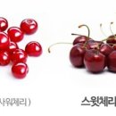 체리 이미지