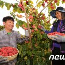 김광연 농장 이미지