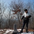 무릉도원면-38 이미지