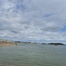 태안호스릴-63 | 태안 출조 후기 (24/09/22) <쭈>