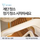 담다클린 이미지
