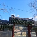 청도대나무숲하우스 | 겨울 가볼만한곳 청도 운문사 사리암 후기