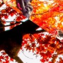 서울리온의원 | 선릉역피부과, 리프팅 시술 후 고민이 있다면?