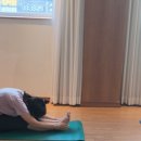 [위아요가/아차산역 요가]허벅지 안쪽 힘, 내전근을 길러야 하는 이유 이미지