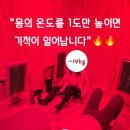 호이플랜 이미지