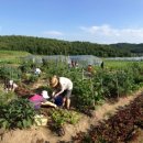 동명치유농업인회 이미지