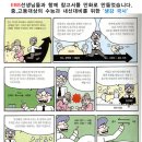 함백여고 네이버블로그