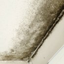 제일풍경채 | 출산 앞둔 집인데... 곰팡이 이대로 두실건가요? 광명제일풍경채 청소후기