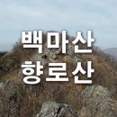 밀양 백마산과 향로산의 호젓한 산길 이미지