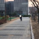크레오 | 대치 크레오 라이딩 후기