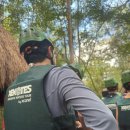 아르떼 | 칸쿤 스칼렛 아르떼 세노떼 후기