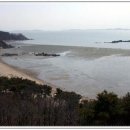 대호낚시 - 평택시 송월로26번길 5 | 대호낚시