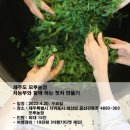 모루농장 이미지