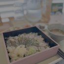 0926_스타벅스 제주용담DT점, 송도옥, 용소담 후기