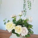 건축사사무소 새롬건축 이미지