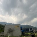 화개면 | 하동 화개면 쌍계사 카페 맛집 더로드101