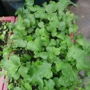 낙수농장 이미지