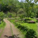 개포마을공인중개사사무소 이미지