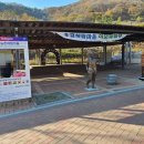 와인터널주차장 | ★입구에 감, 홍시 파는 경북 청도 와인 터널 방문 후기★