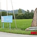 도라지마을 이미지