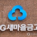 새마을금고중앙회 노동조합 이미지