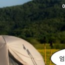 스테이페어 이미지