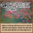 머드러기 - 동구 | 머드러기