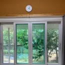 오월N장미 이미지