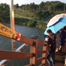 비비정예술열차 이미지