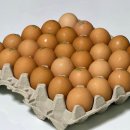 떠오름 유통 네이버블로그