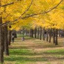 가곡초등학교보발분교장 이미지