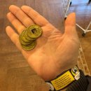 네비스토리 | 서울 근교 나들이 아이랑 함께 포천 마이애니멀스토리 평강랜드 후기