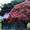 유학사 - 1813 | 유학사