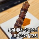 은하양꼬치