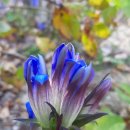 수정여인숙 이미지