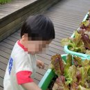 반포써밋, 반포써밋비에스피(BSP)어린이집 네이버블로그
