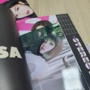 상하다제 이미지