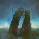 착한애견 이미지