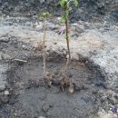 둥지농장2 이미지