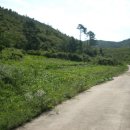 광시면010 이미지