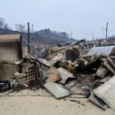 청송군, 산불 피해복구 긴급 모금을 위한 고향사랑 지정기부 시작 이미지