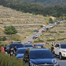 추석 성묘 행렬로 도로 몸살…축제장·관광지 낮부터 &#39;북적&#39; 이미지