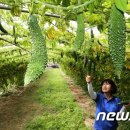 여주-0903 이미지