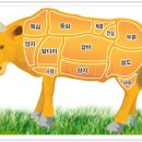 용전한우마을 이미지