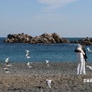 파도소리 이미지